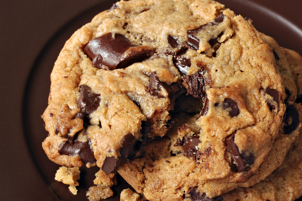 This is a photo of a chocolate chip cookie.