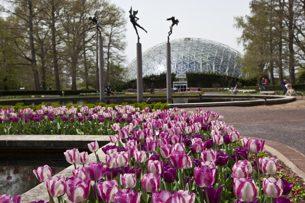 missouri-botanical-garden