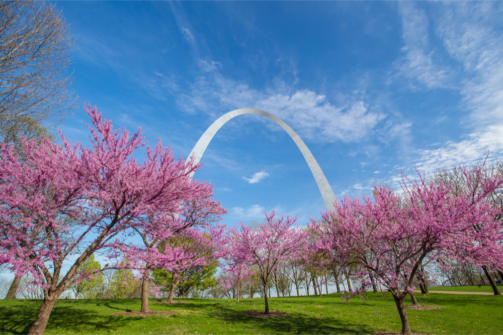 St Louis Spring Break 2025