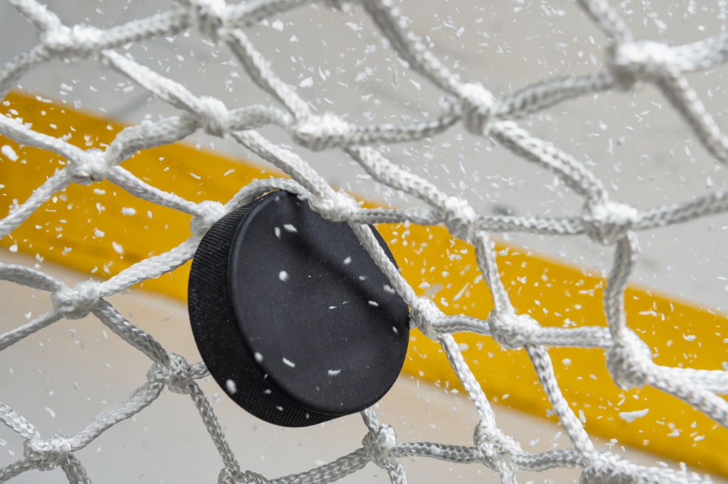 hockey-puck-and-net